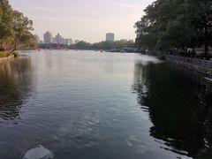 -月湖公园