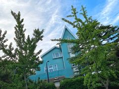 -八大关景区