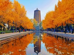 -玲珑塔公园