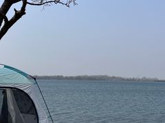 -丁香湖公园