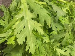 -重庆九记老火锅(广场店)