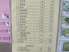 -针姨