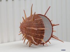 -青岛贝壳博物馆