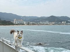 -大梅沙海滨公园