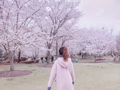 -自然谷恐龙园