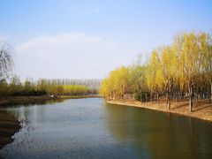 -东郊湿地公园