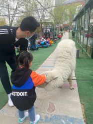 -萌宠亲子动物乐园(槐房万达店)