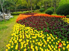 -上海鲜花港