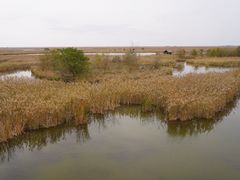 -盐城丹顶鹤湿地生态旅游区