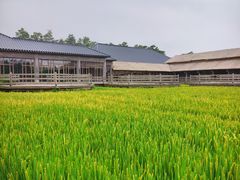-乌村