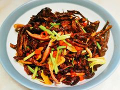 小炒藏香菌-聚京民福烤鸭店(木樨园店)