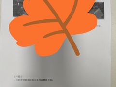 -伟伟宠物医院·瑞派猫友好医院·猫科(光谷店)