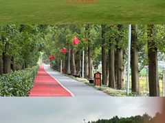 -上海长兴岛郊野公园