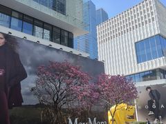 -深圳湾万象城(南山店)