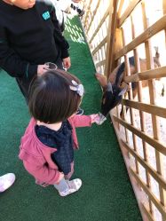 -萌宠亲子动物乐园(槐房万达店)