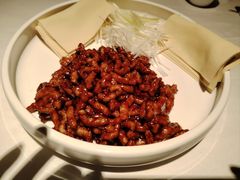 -大鸭梨烤鸭(顺义石园店)