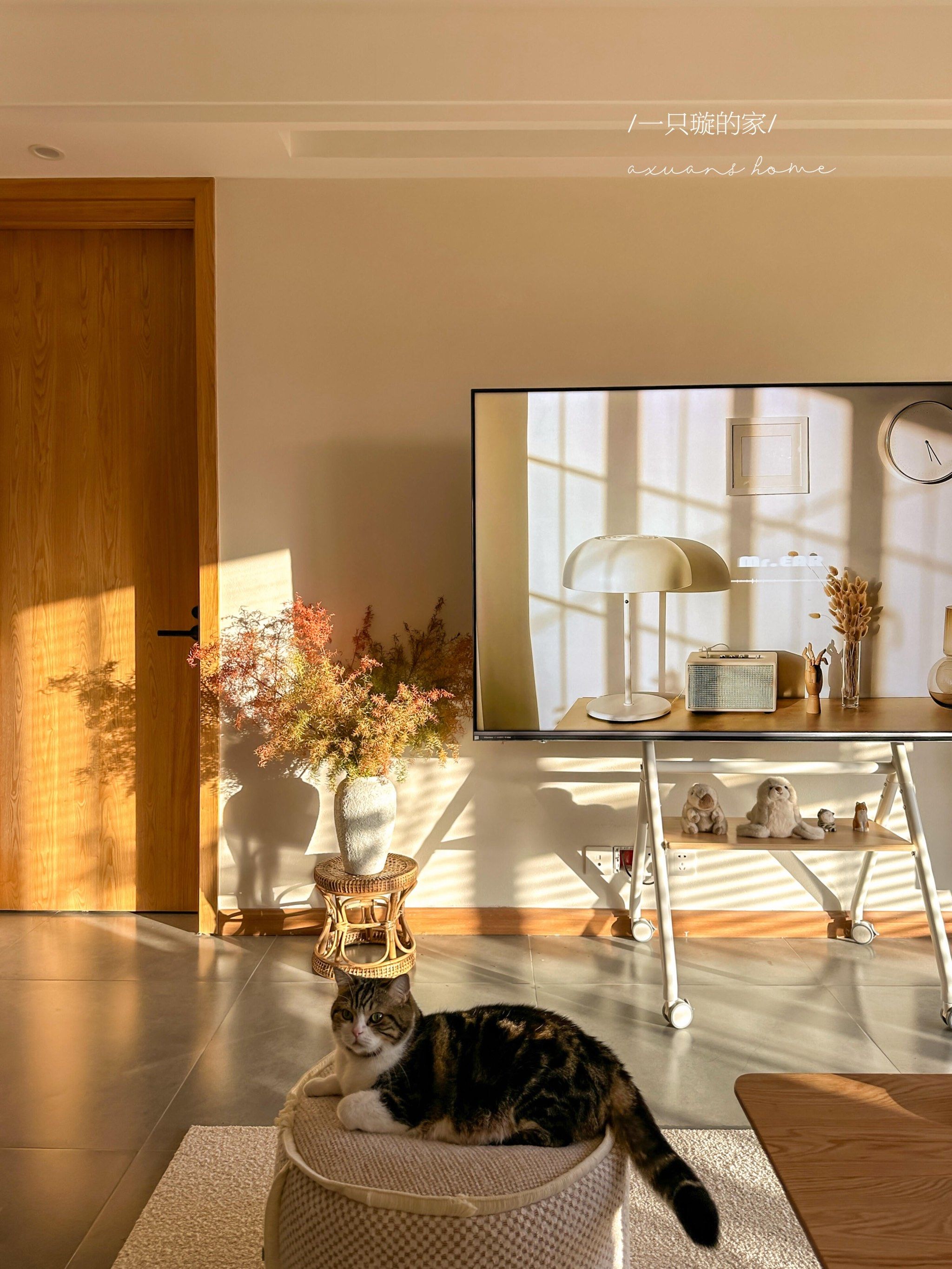 原木风温馨小家,尽显自然与舒适

🌿在这个小家里,原木的质感与