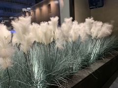-稻鲜记潮汕砂锅粥