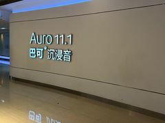 -金逸影城(荟聚IMAX激光店)