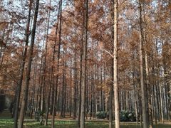 -河南省黄河迎宾馆