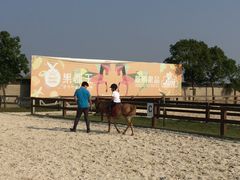 -松声马术俱乐部