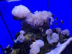 -多彩贵州城极地海洋世界