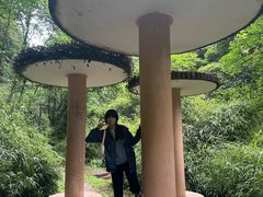 -中国大熊猫保护研究中心雅安碧峰峡基地