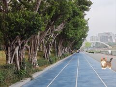 -福田红树林生态公园