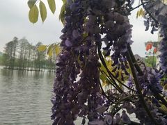 -东湖食堂·湖景餐厅•会议