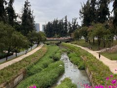 -深圳野生动物园