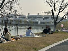 -羊山湖公园