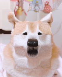 -Oasis Beauty水磨坊科技美肤中心