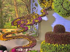 -杭州植物园