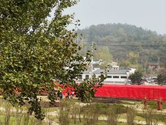 -千年银杏谷文化旅游区