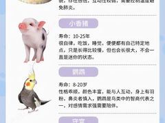 -宠爱国际动物医院·消化内科·心肾内科·ISFM猫友好(望京店)