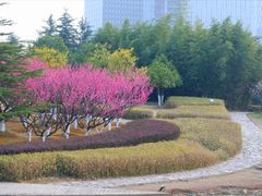 -白塘生态植物园