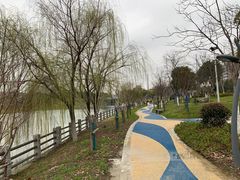 -九里河湿地公园