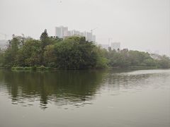 -飞来湖湿地公园