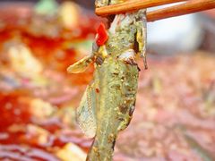 -谭记石锅鱼府(三道堰店)