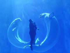 -多彩贵州城极地海洋世界