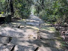 -杭州半山国家森林公园