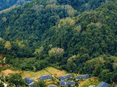 -普洱太阳河森林公园
