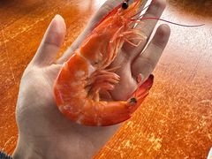 -坛南湾阿强农家乐.海鲜大排档老字号(福州地标美食店)