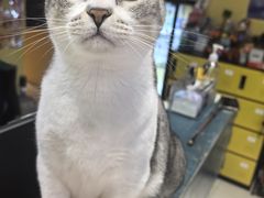 -谜盒子奇幻密室(南屏店)