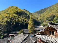 -林坑古村落