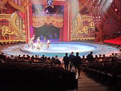 -珠海横琴长隆《卡卡虎奇遇记》