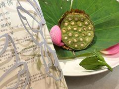 -叶叶菩提(太原别墅店)