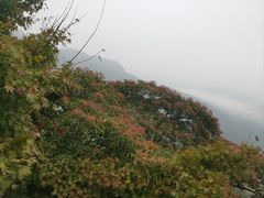 -莫干山风景区