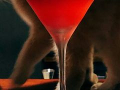 鸡尾酒-咖法森林·咖啡  酒吧(天河店)