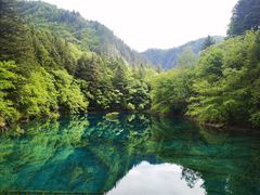 -乡土特色.冷锅鱼.牦牛肉汤锅
